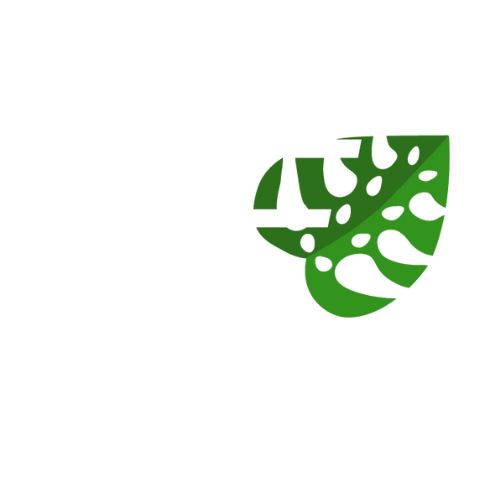 HF+ Wellness